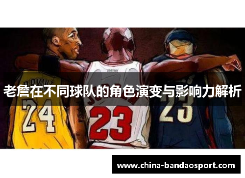老詹在不同球队的角色演变与影响力解析