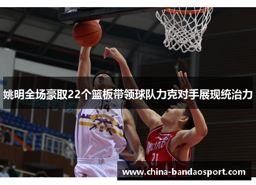 姚明全场豪取22个篮板带领球队力克对手展现统治力