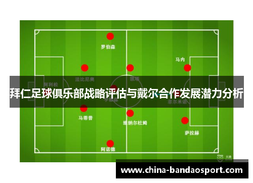 拜仁足球俱乐部战略评估与戴尔合作发展潜力分析