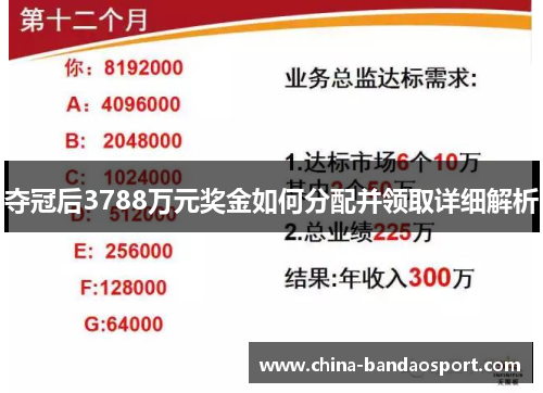 夺冠后3788万元奖金如何分配并领取详细解析