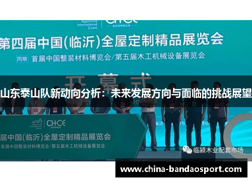 山东泰山队新动向分析：未来发展方向与面临的挑战展望