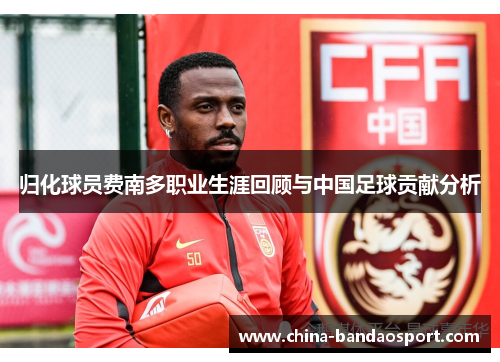 归化球员费南多职业生涯回顾与中国足球贡献分析