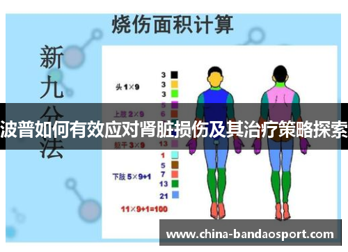 波普如何有效应对肾脏损伤及其治疗策略探索