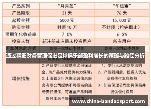 通过精细财务管理促进足球俱乐部盈利增长的策略与路径分析