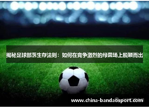揭秘足球部落生存法则：如何在竞争激烈的绿茵场上脱颖而出