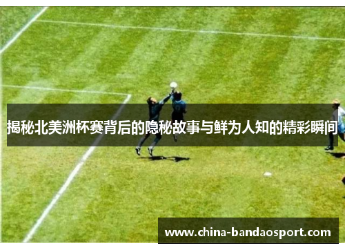 揭秘北美洲杯赛背后的隐秘故事与鲜为人知的精彩瞬间