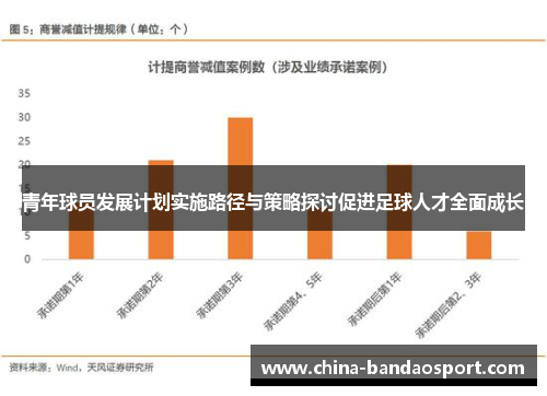 青年球员发展计划实施路径与策略探讨促进足球人才全面成长