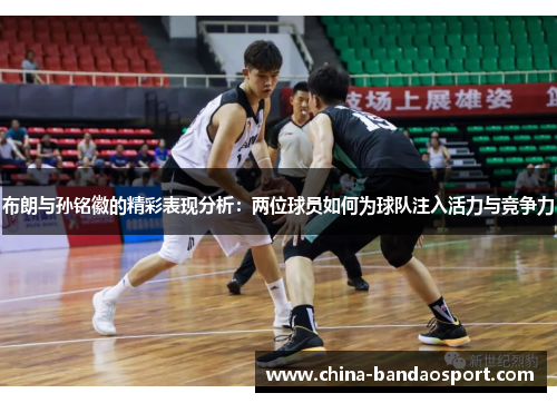 布朗与孙铭徽的精彩表现分析：两位球员如何为球队注入活力与竞争力