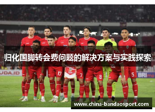 归化国脚转会费问题的解决方案与实践探索